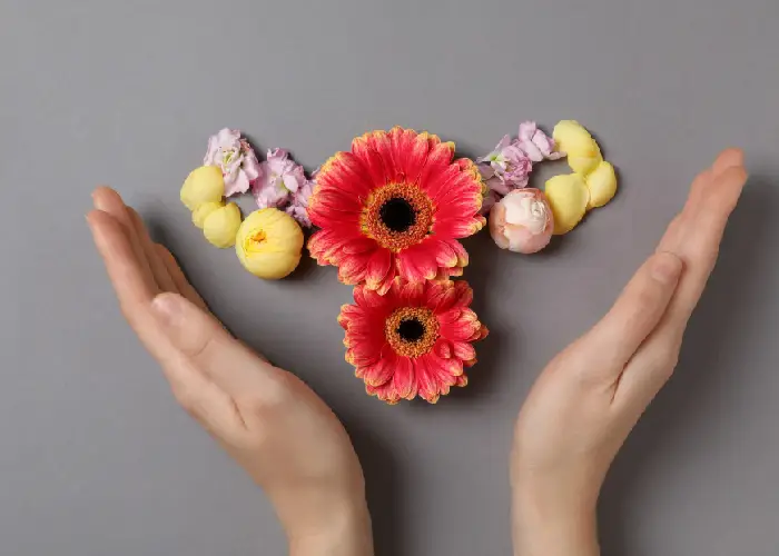 Women’s Health & Wellness Nutrition Plans for Fertility Support